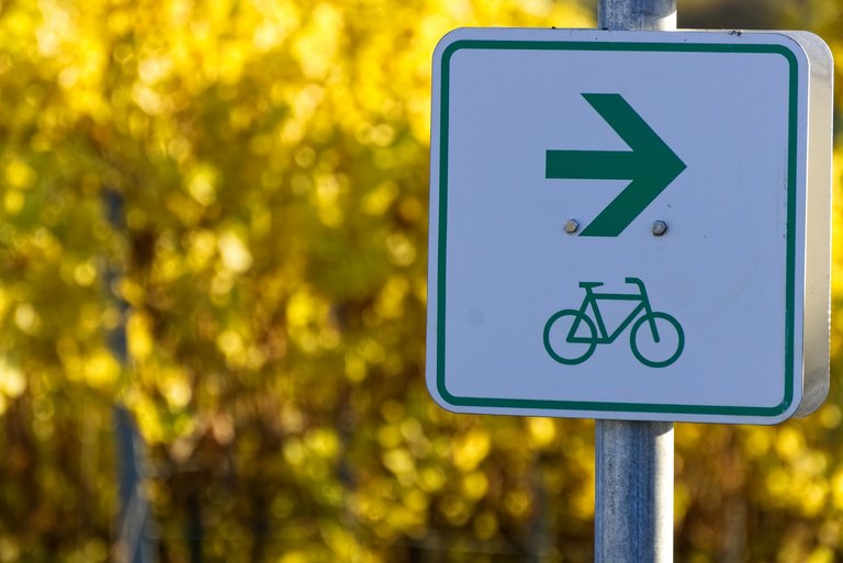 Schild für Radweg, Pfeil nach rechts, darunter ein Fahrrad in gruen 