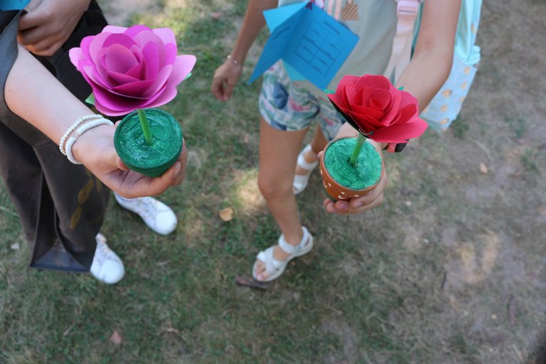 Blumentopfe4.JPG 