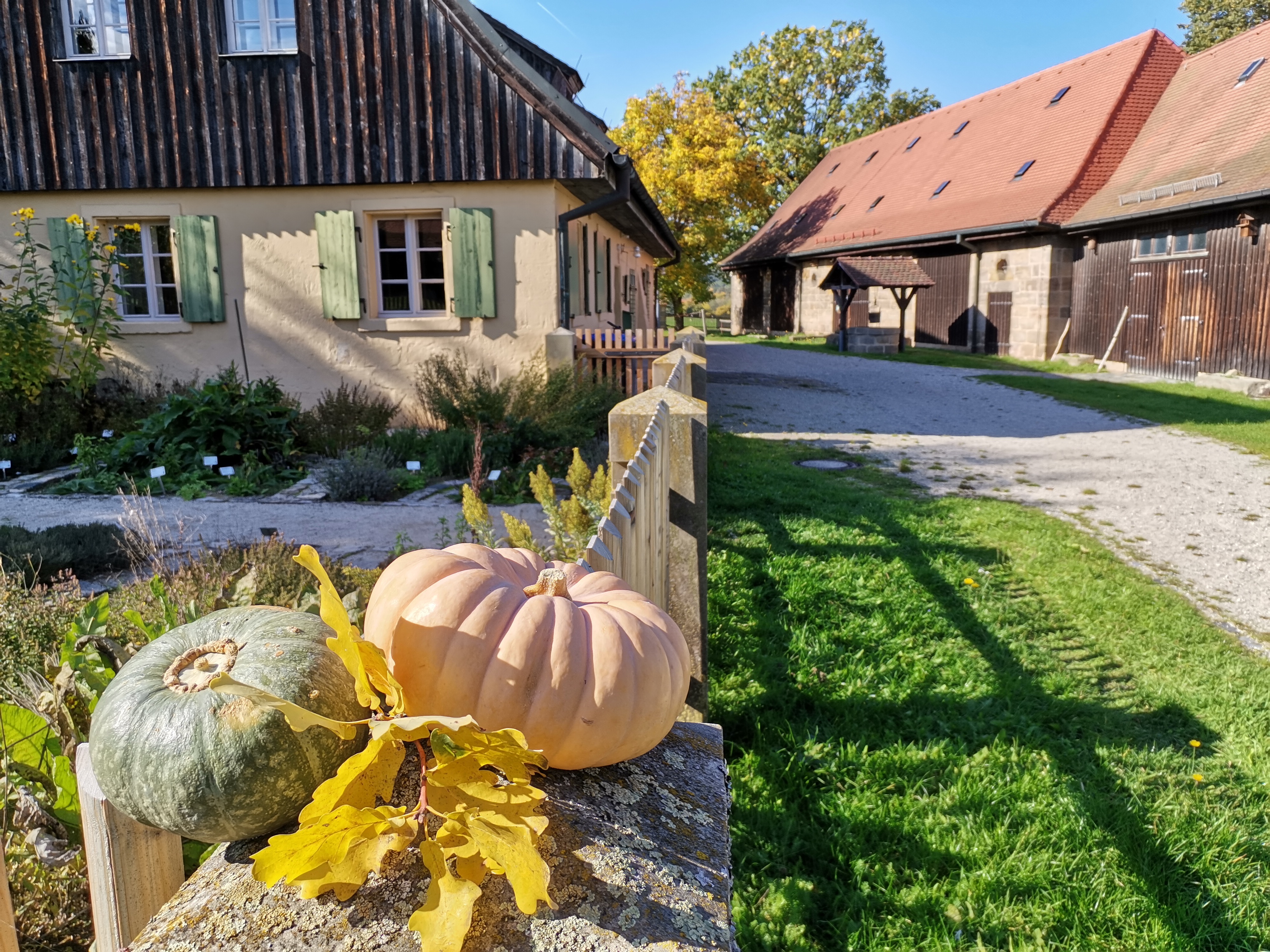 Kuerbisse vor dem Hintergrund eines historischen Gebaeudes