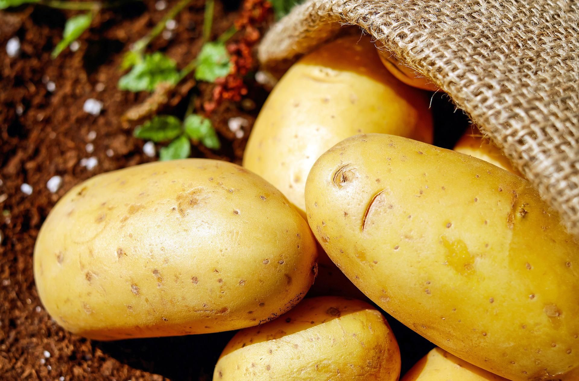 Sack aus dem Kartoffeln fallen